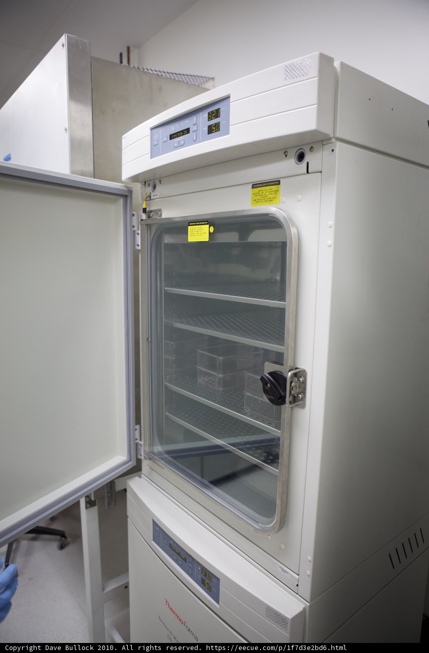 The Big Chill Caption: A large white freezer with the door open, revealing shelves stocked with frozen goods, protected by a gloved hand.