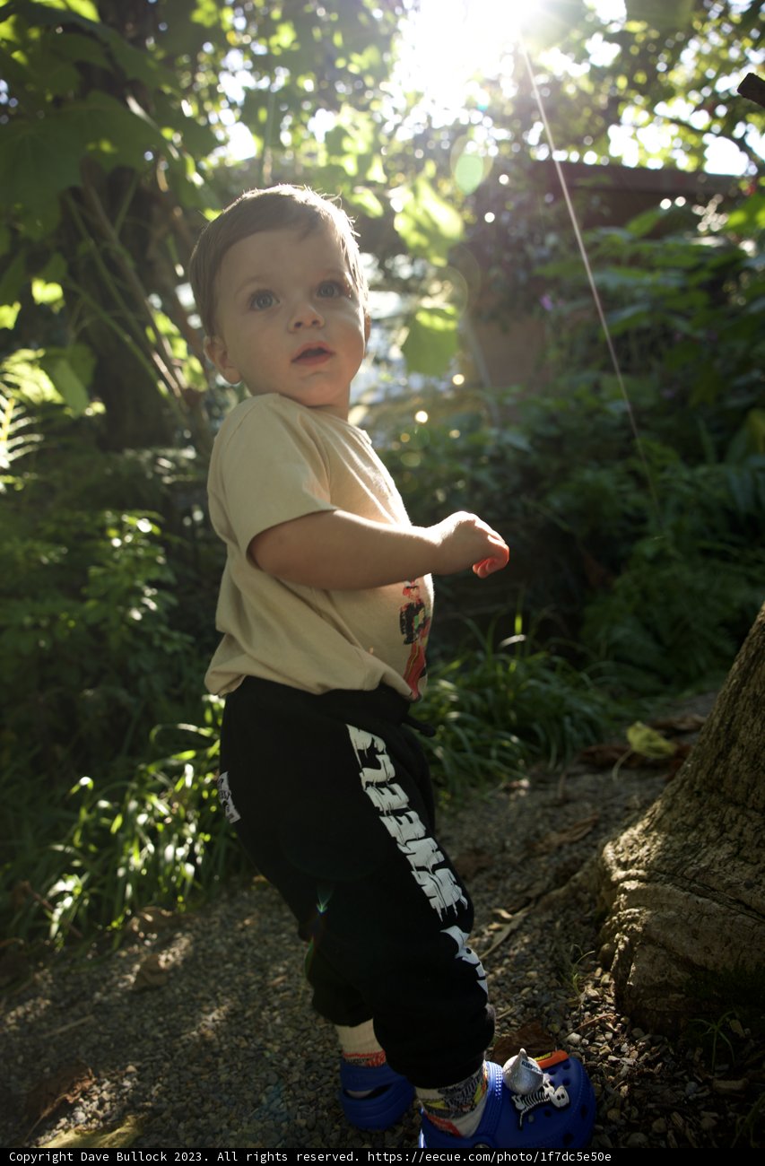 Wesley's Adventure in the Green Oasis