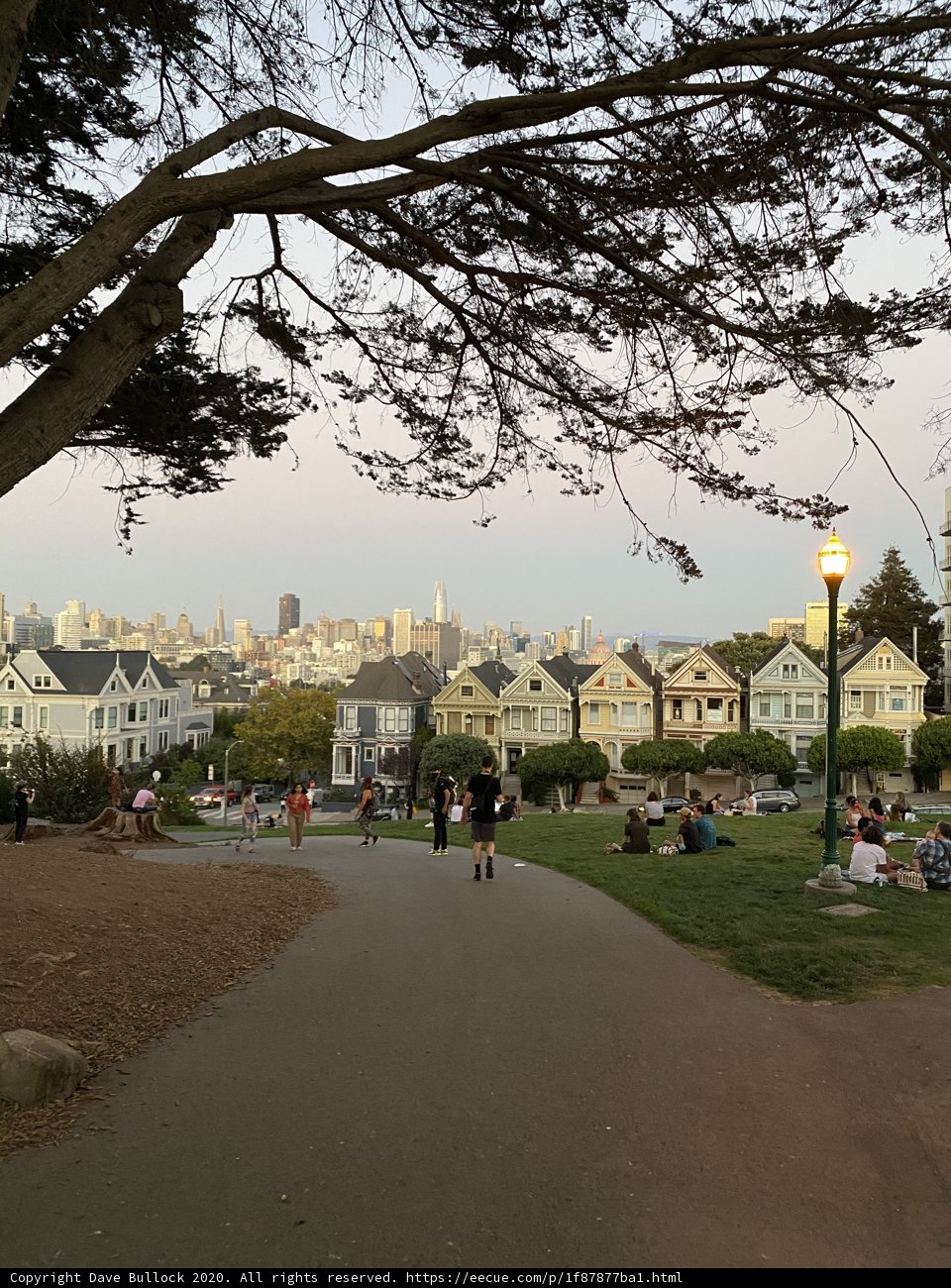 Neighborhood Gathering at Alamo Square