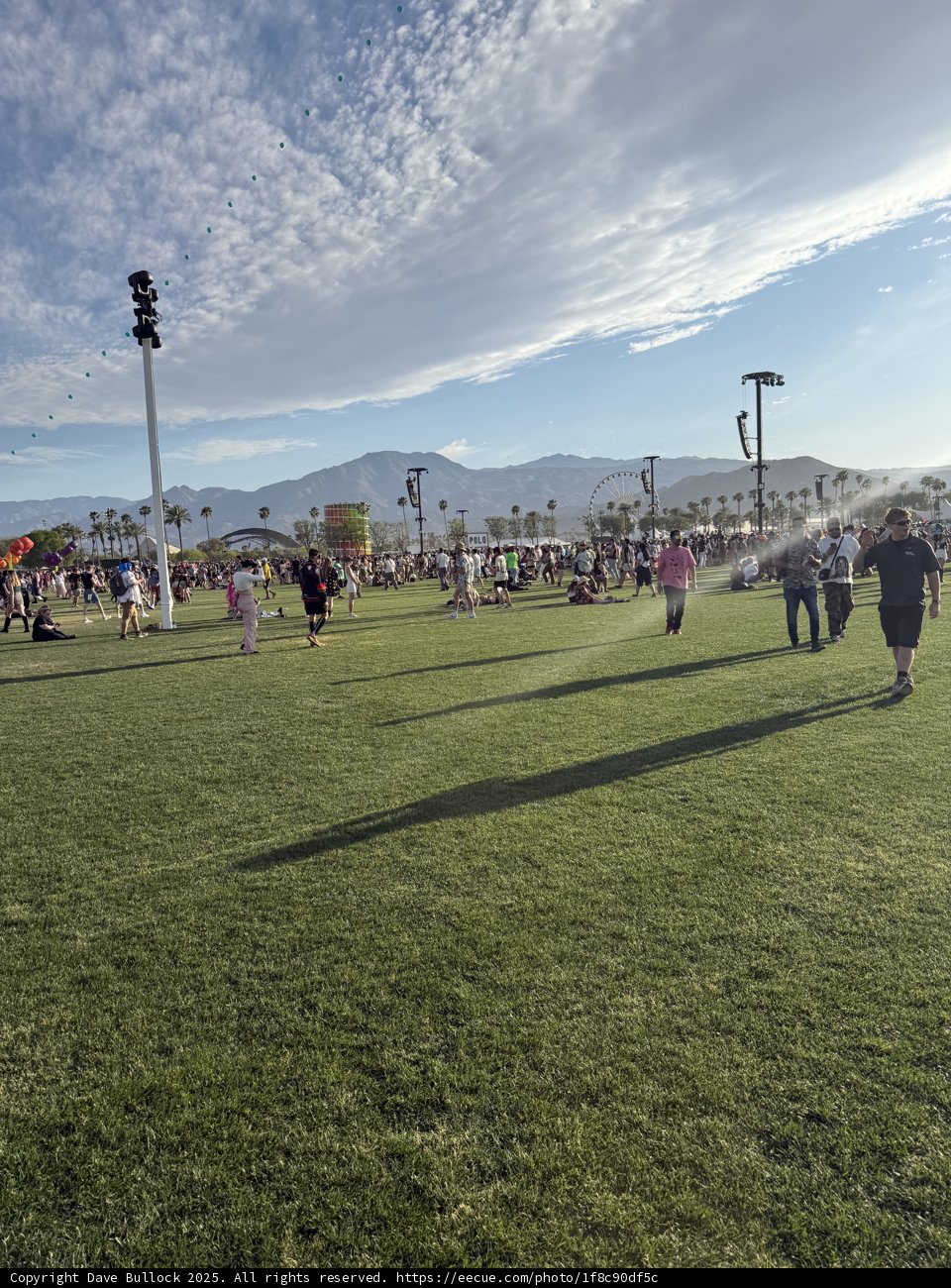 Gathering Under the Sky