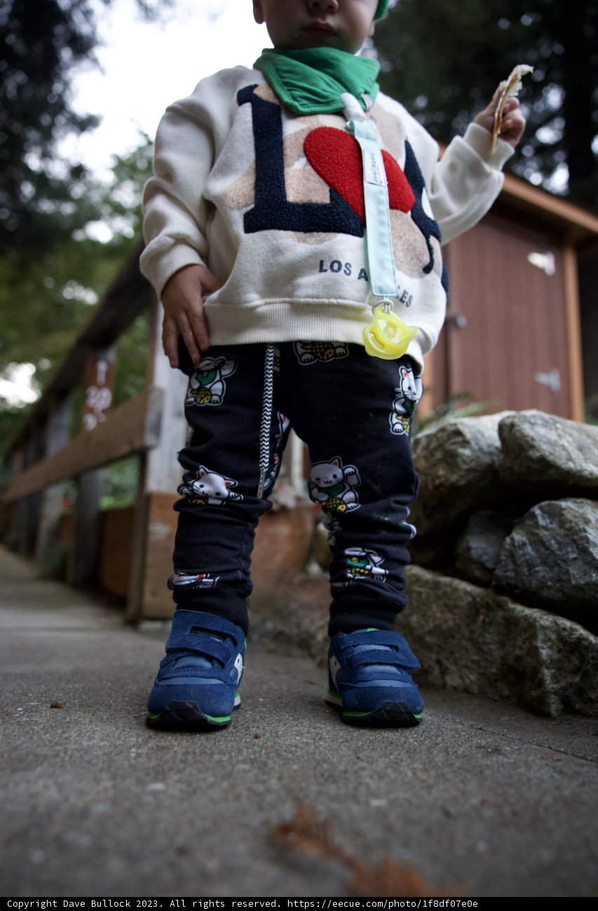 The Little Explorer in Green