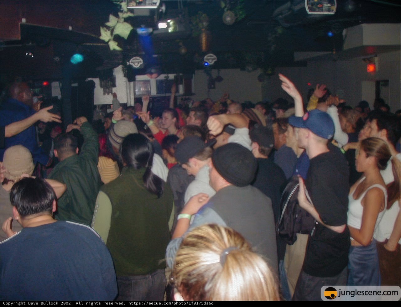 Nightlife in the Club