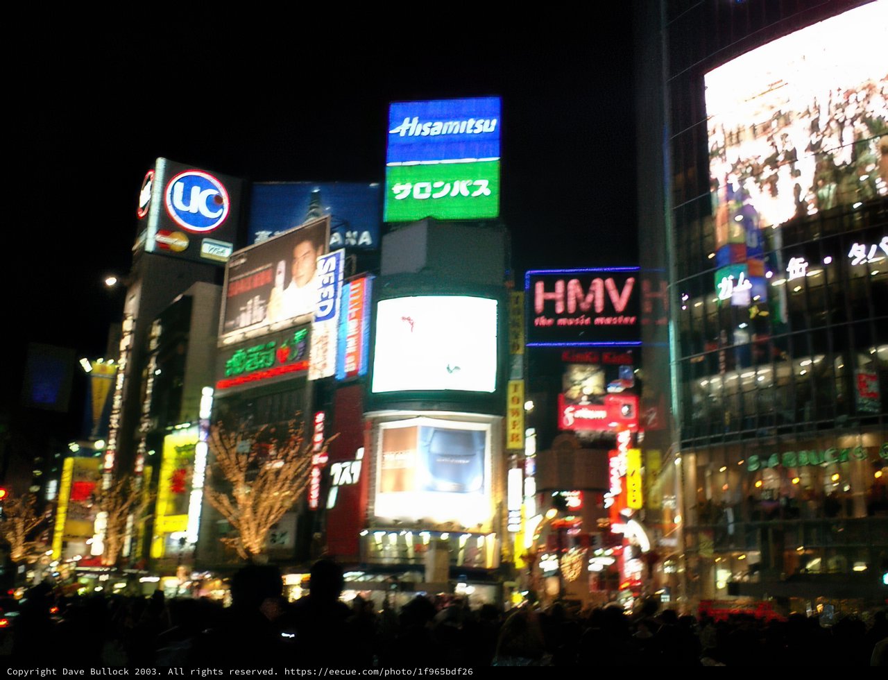 Neon Nights in Tokyo