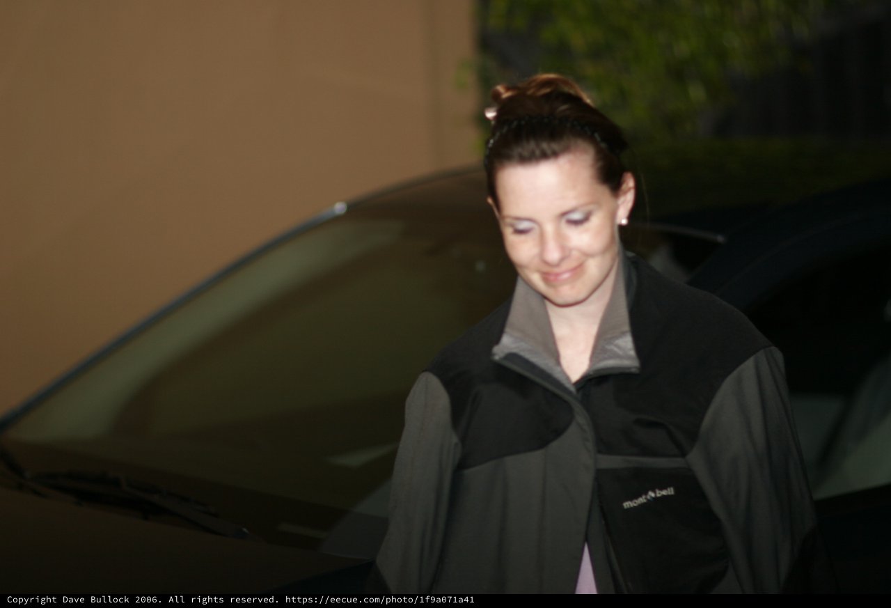 Woman Smiling Softly by Dark Car at Night