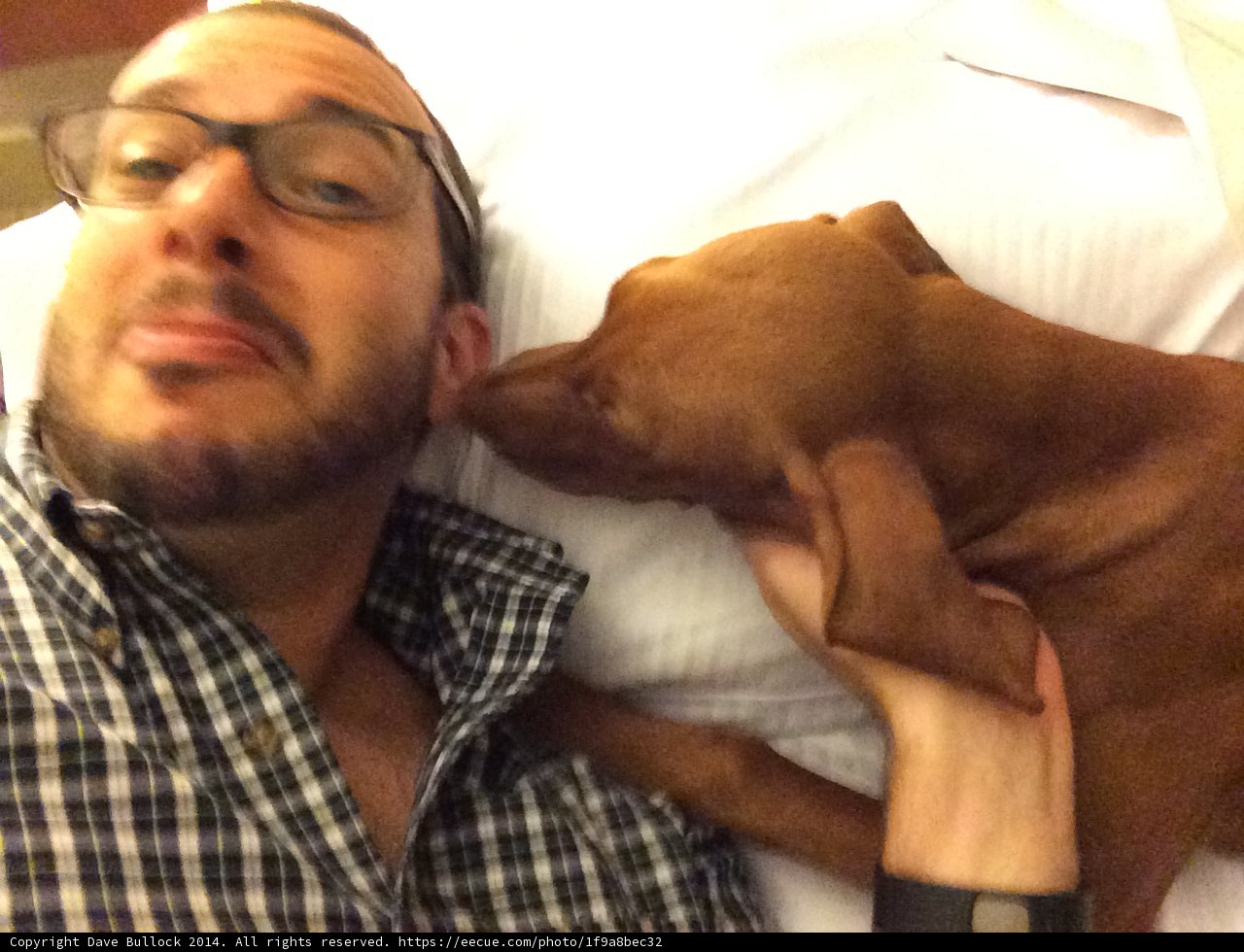Resting with the Pooch