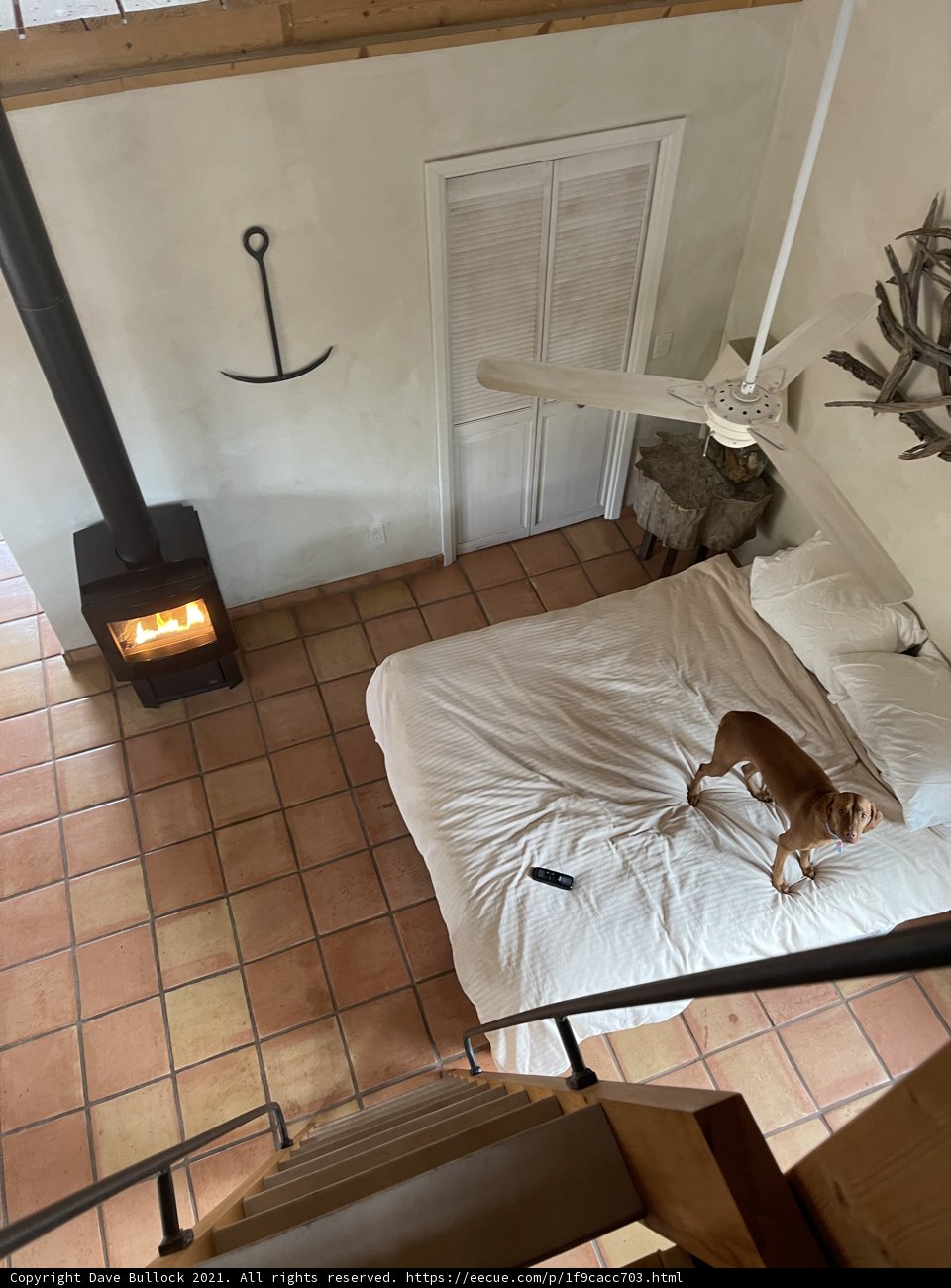 The Comfiest Spot in the Room