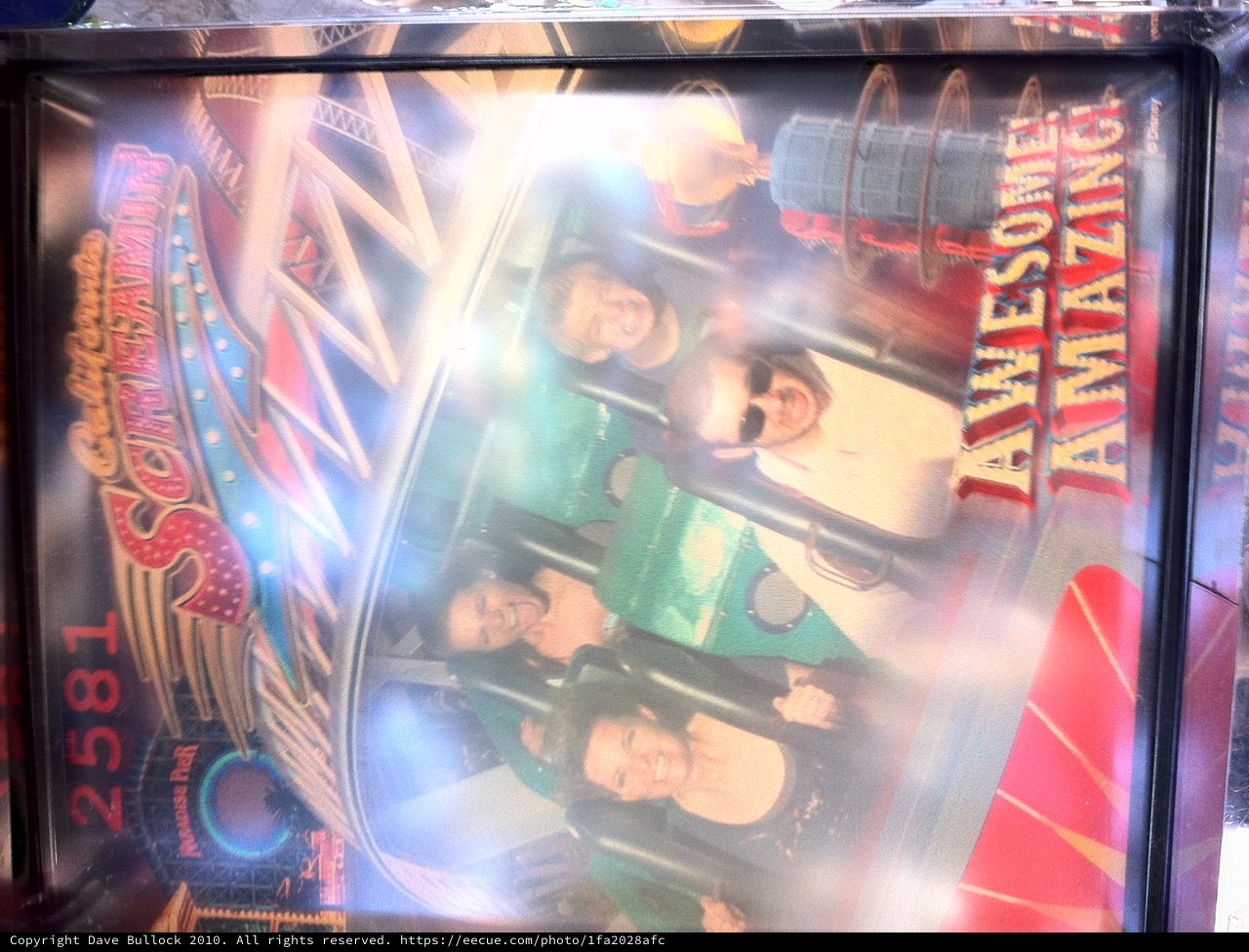 California Screamin' Roller Coaster Thrill Ride Photo