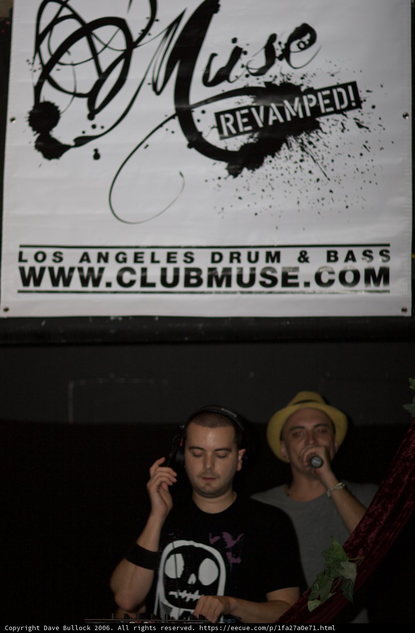 Live DJ Performance at Night Club