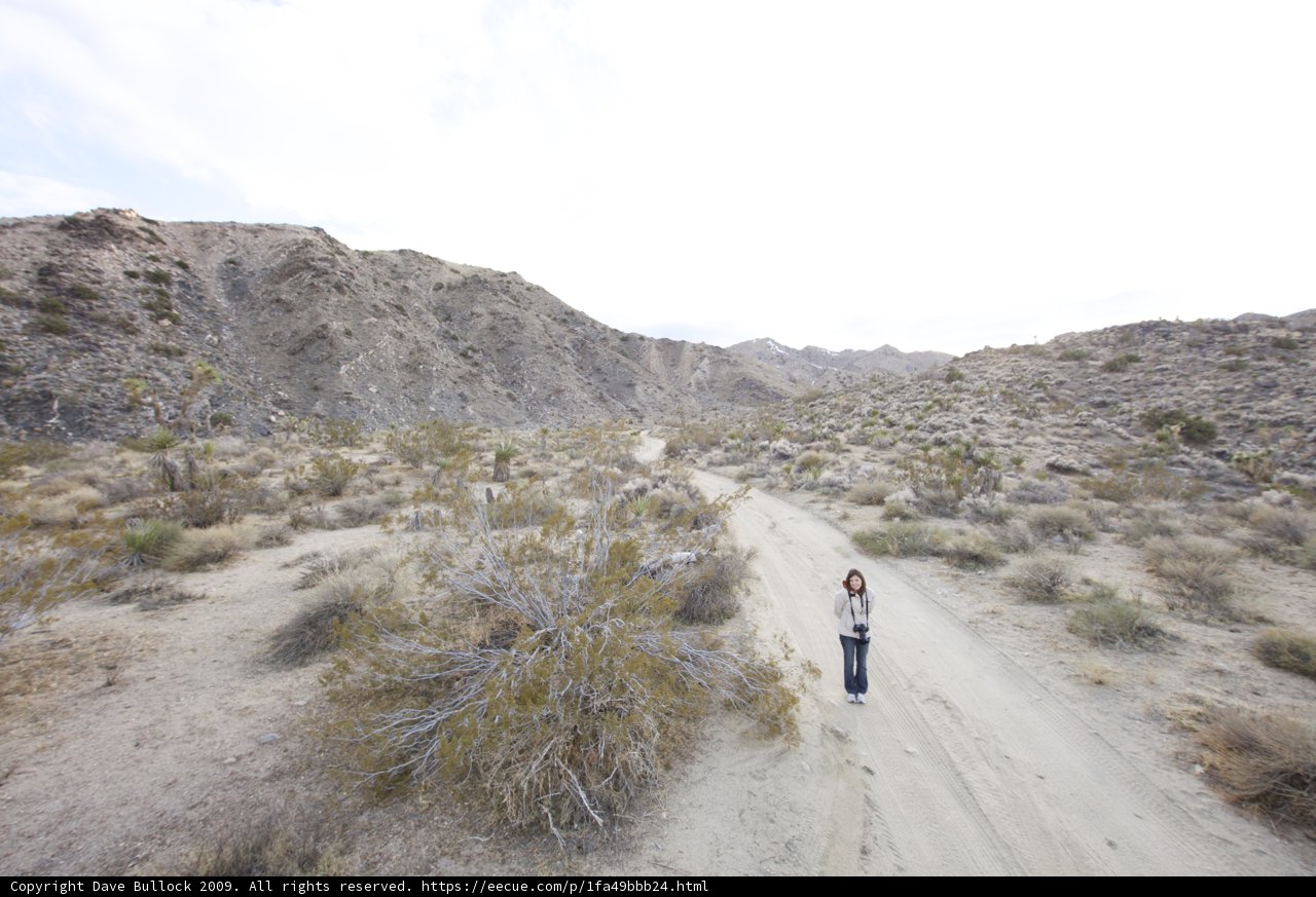 Walking the Wild Desert Road