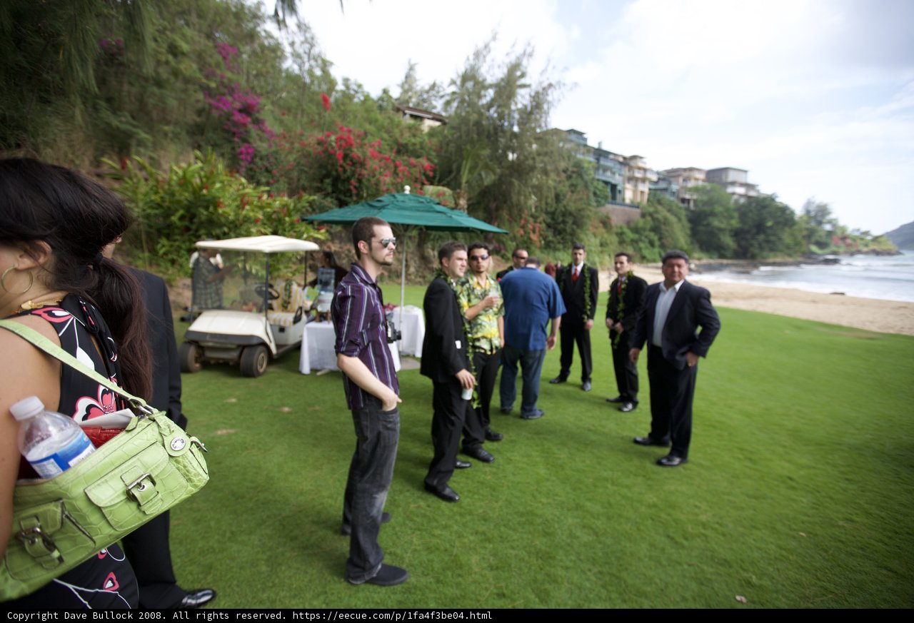 A Gathering on the Green
