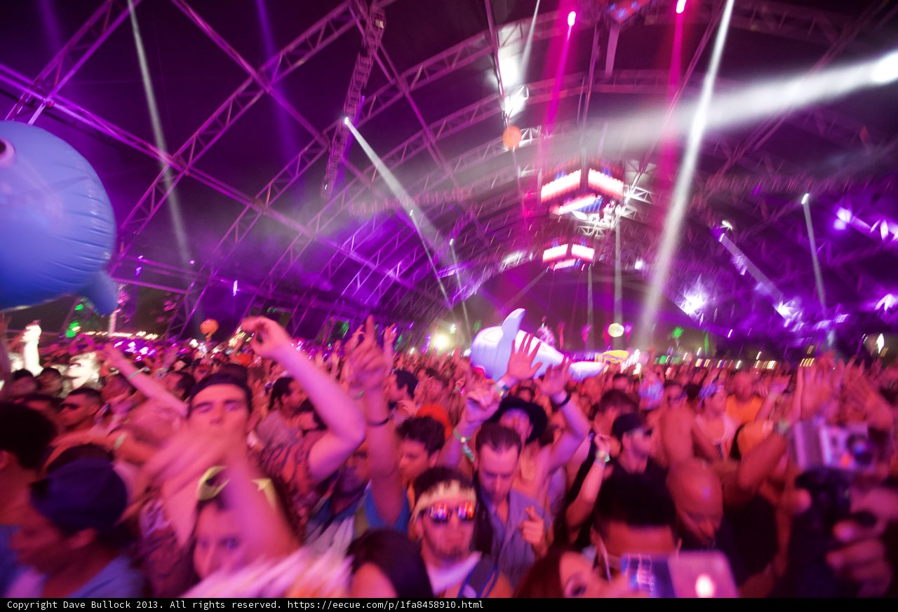 Blue Whale Rave