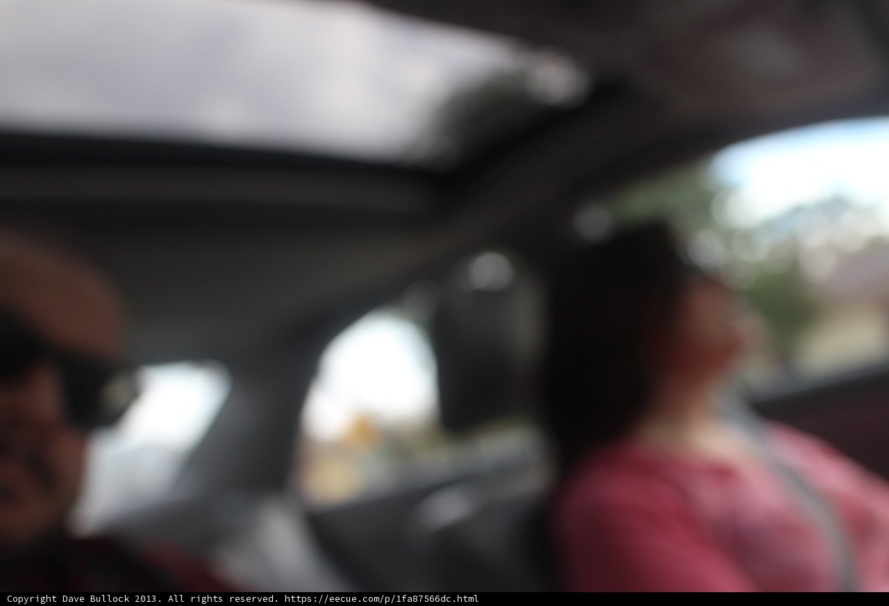 Cozy Car Ride