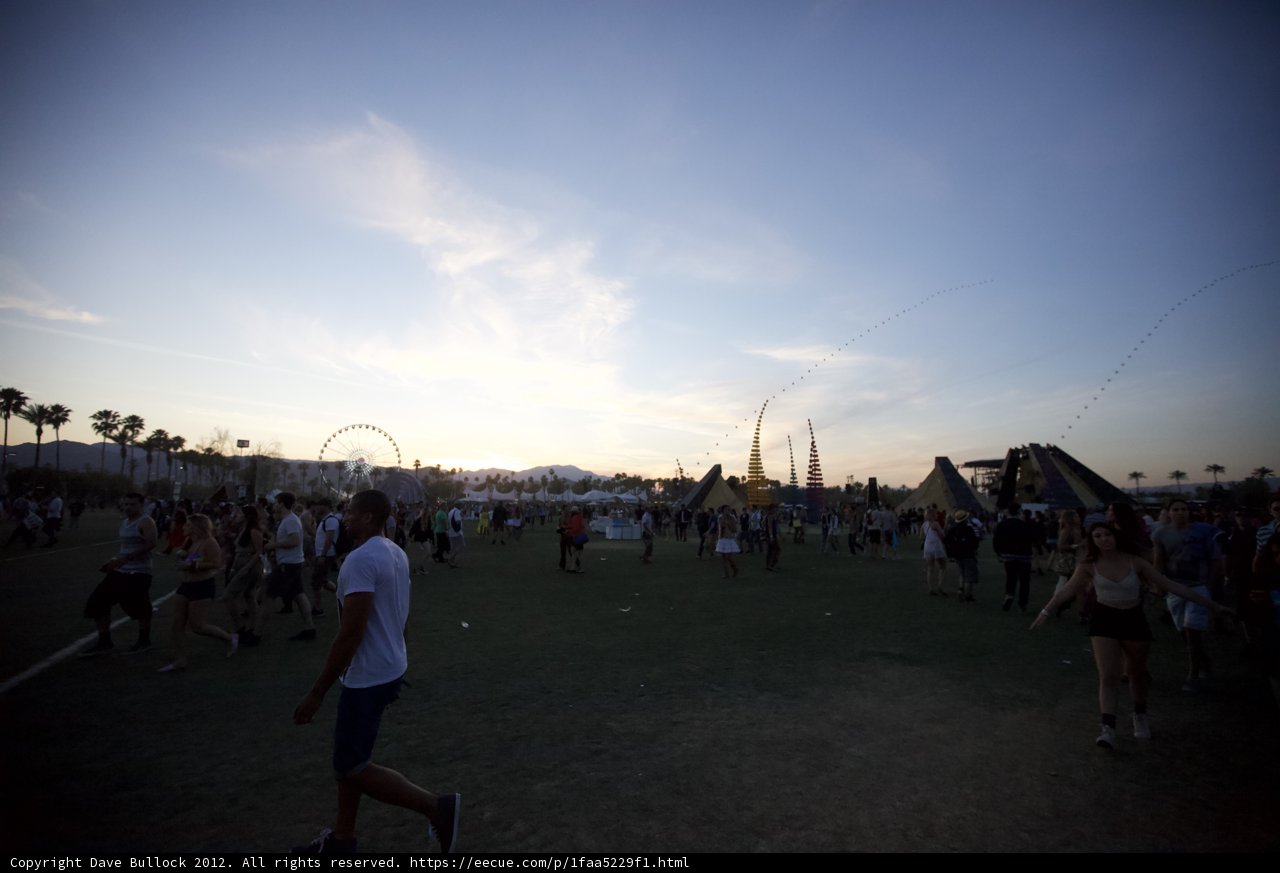 Sunset Stroll in the Grass