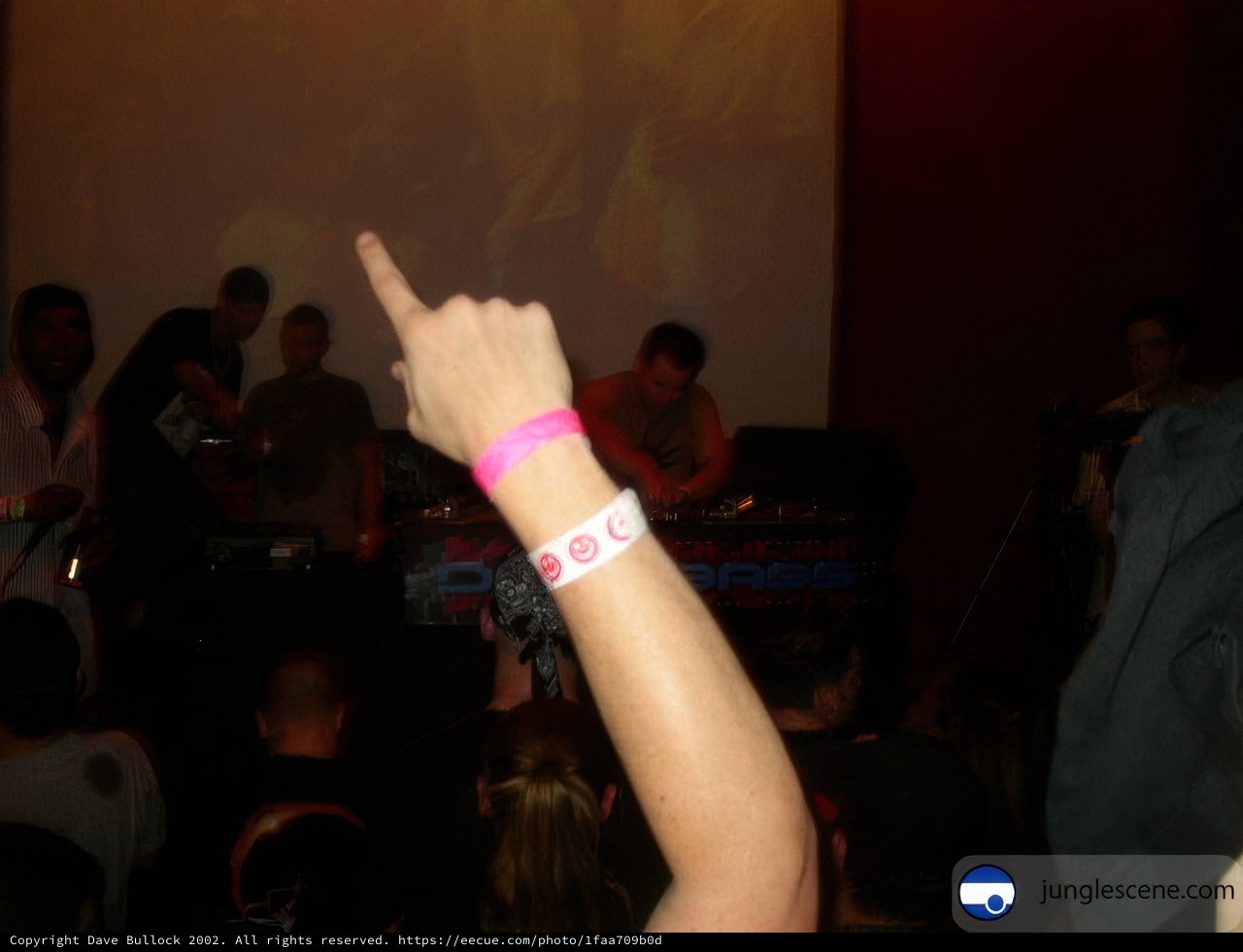 Concert Goers Showing Off Their Wristbands