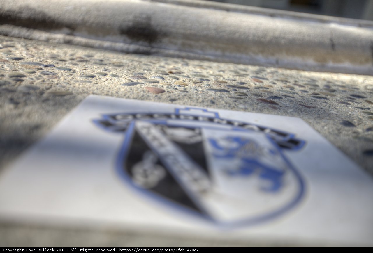Emblem on the Ground