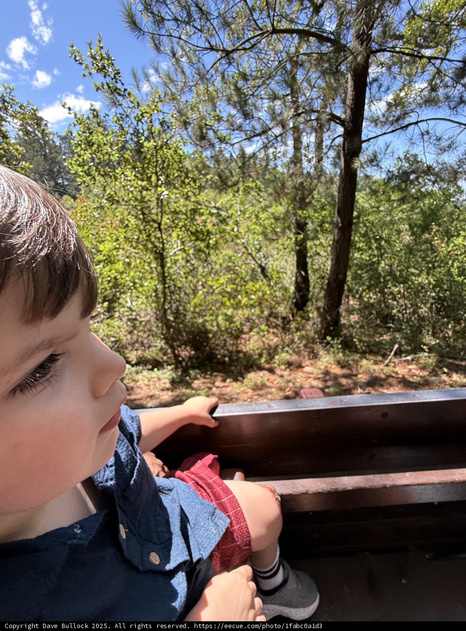 Journey Through Nature's Embrace