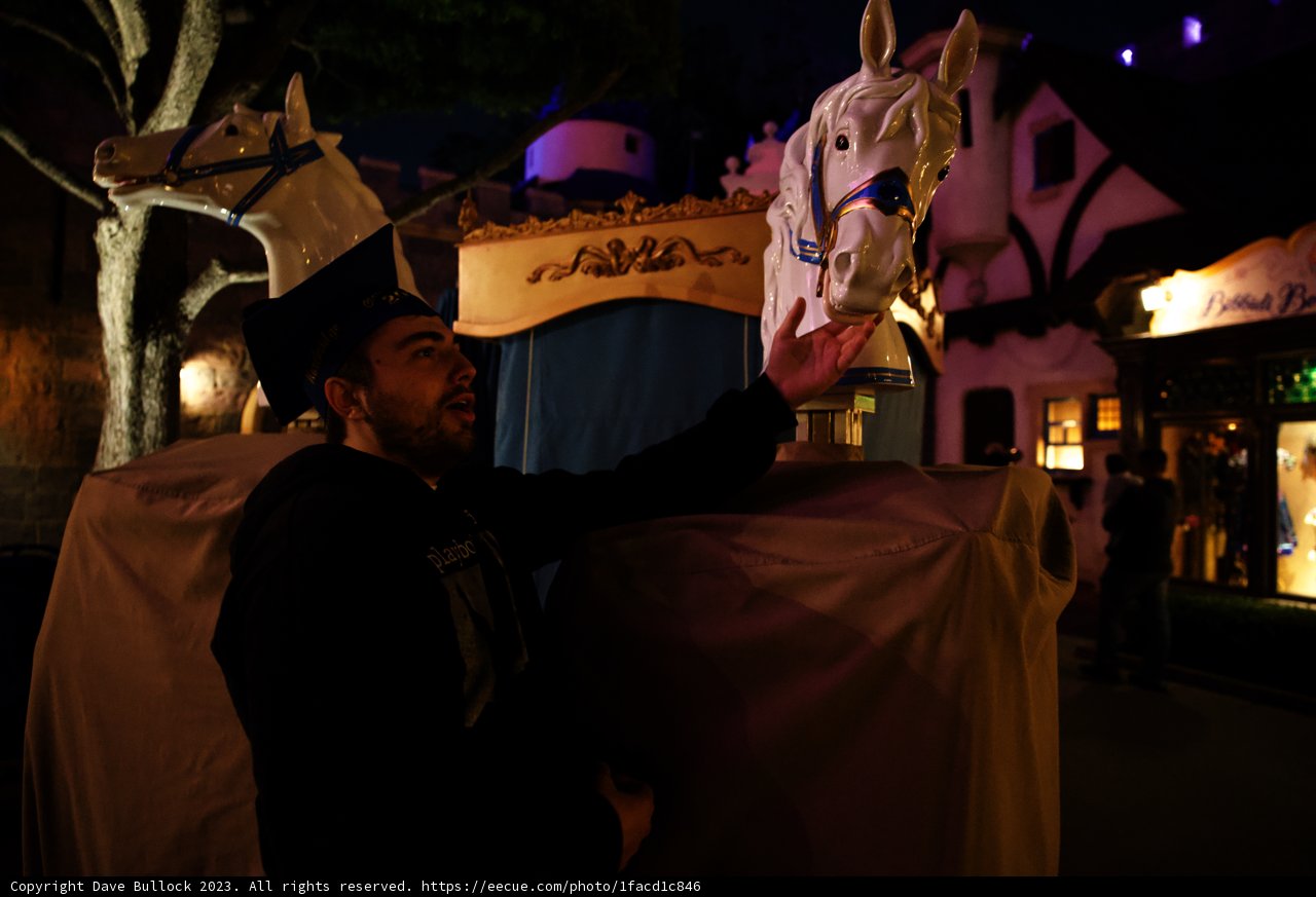 A Magical Encounter at Disneyland