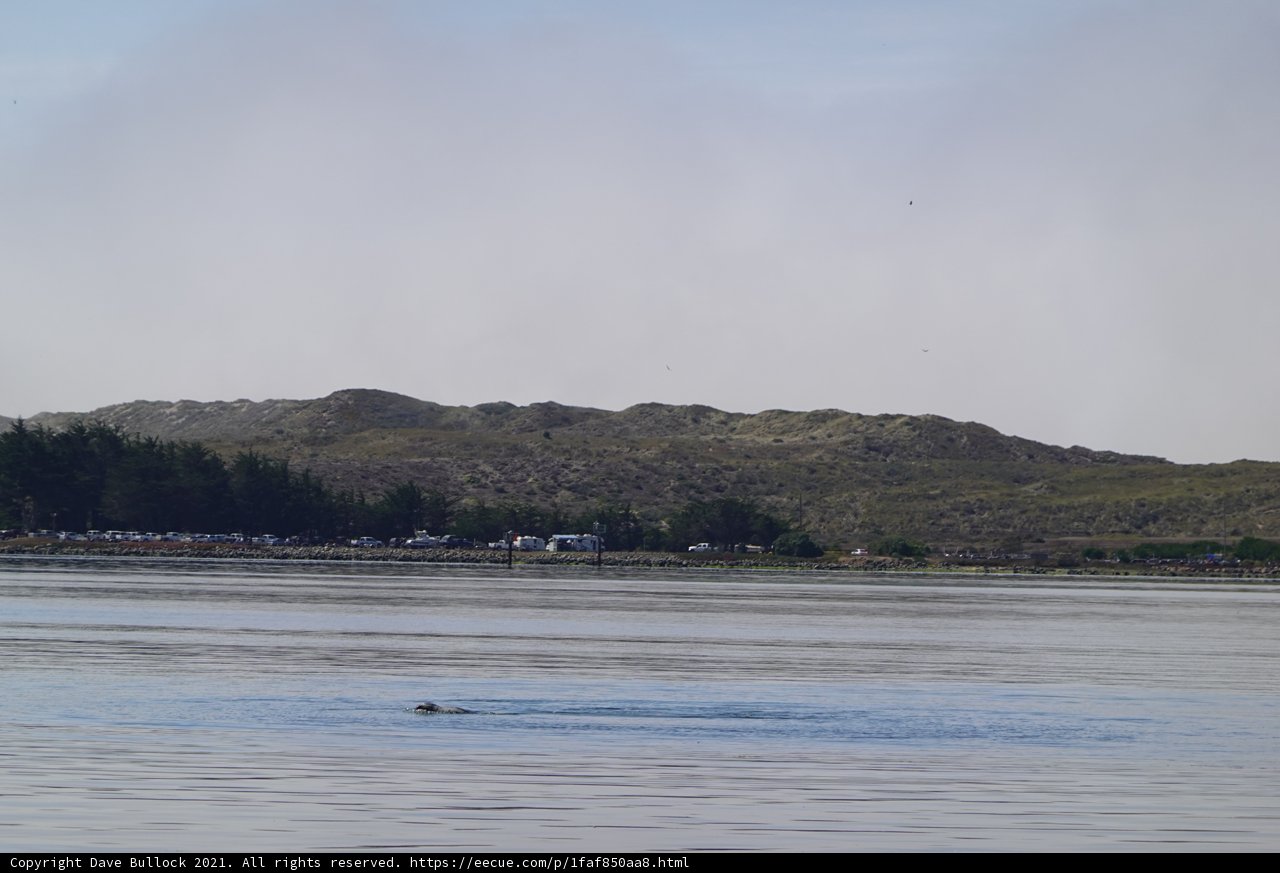 Majestic Promontory by the Lake
