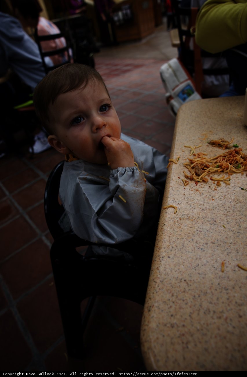 Bites and Memories at Disneyland