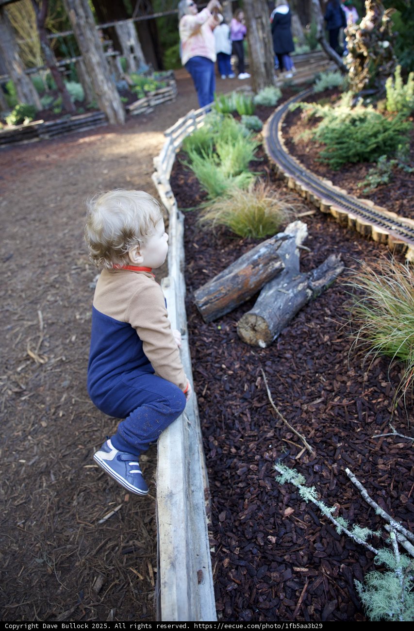 Little Explorer of Thistlewyck