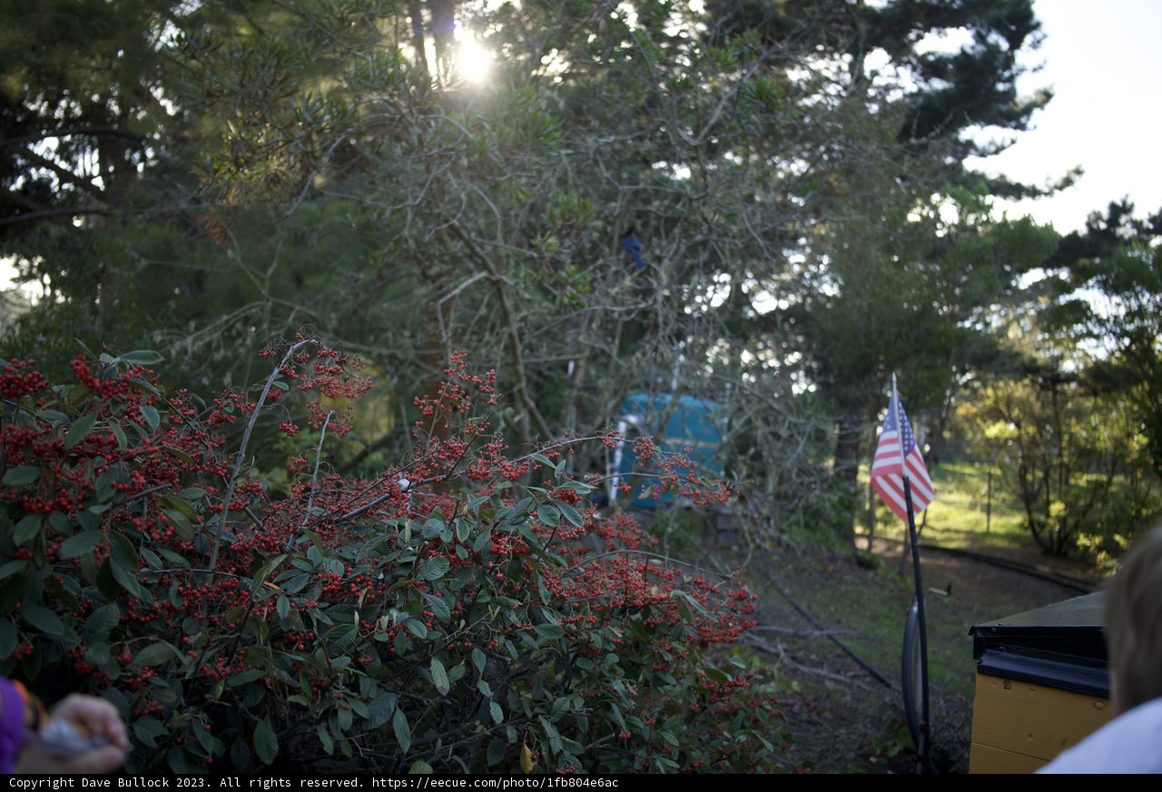 Patriotic Radiance in the Great Outdoors