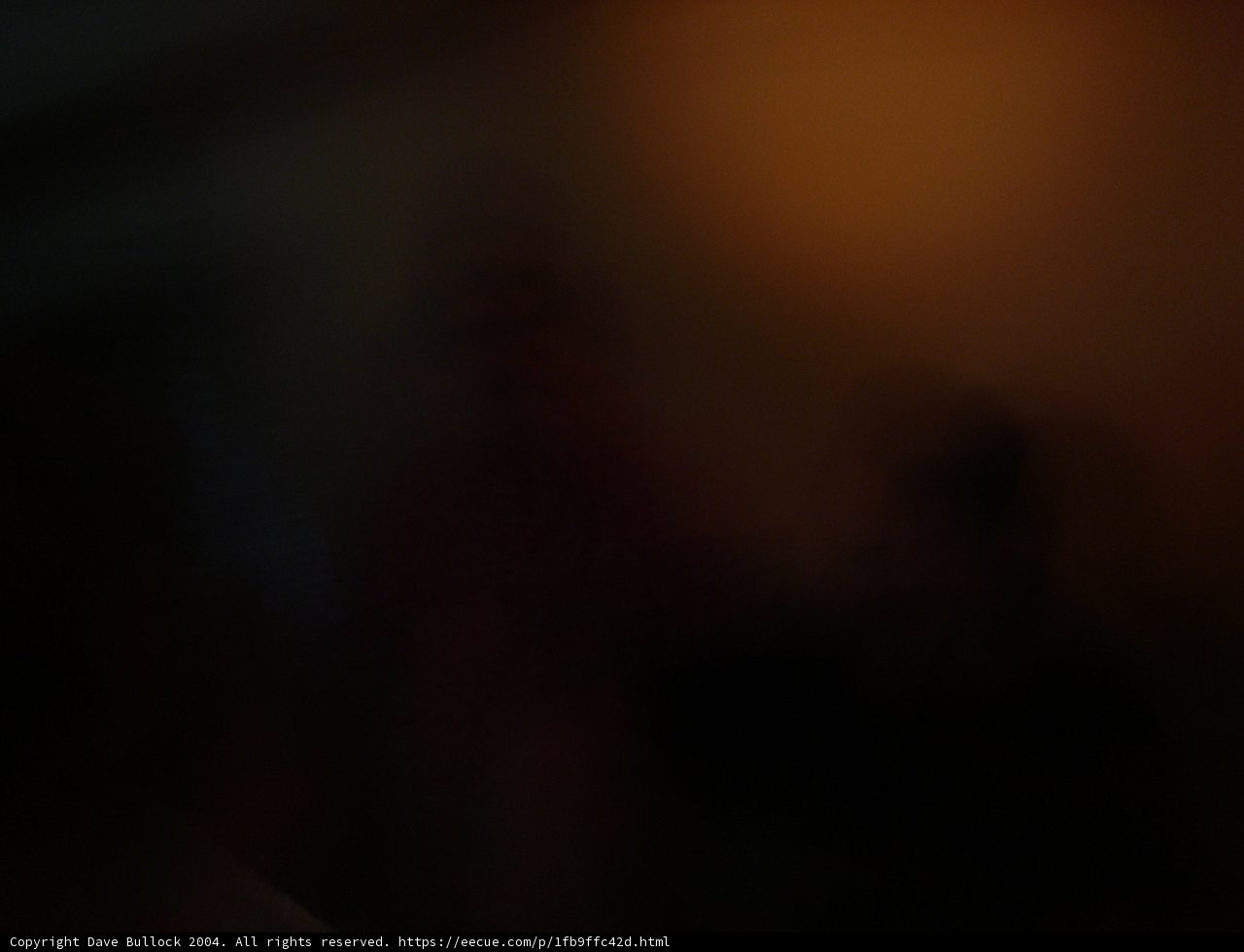 Shadows in the Night