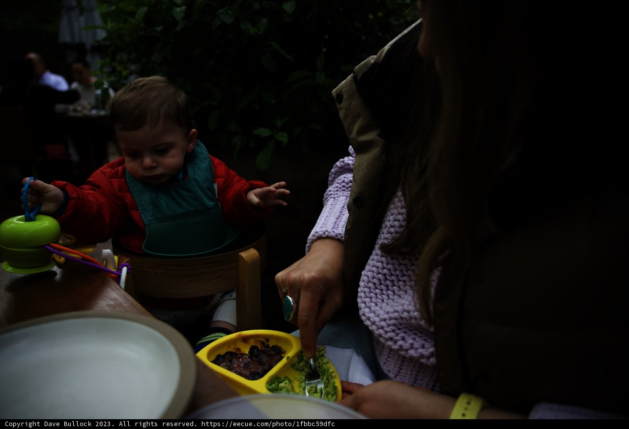 A Delightful Afternoon at the Charter Oak Potluck
