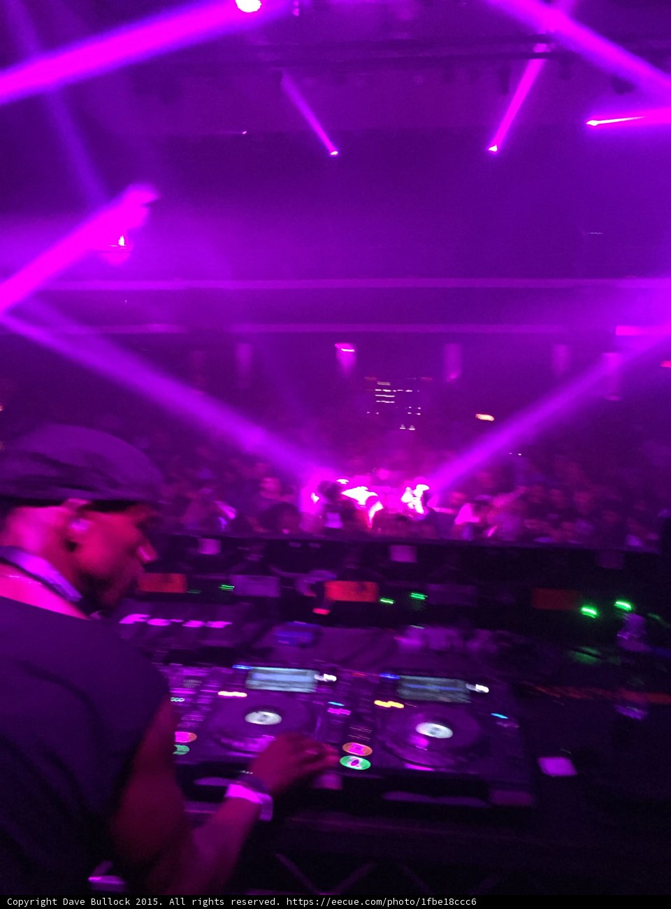 Pink Lasers and Crowd