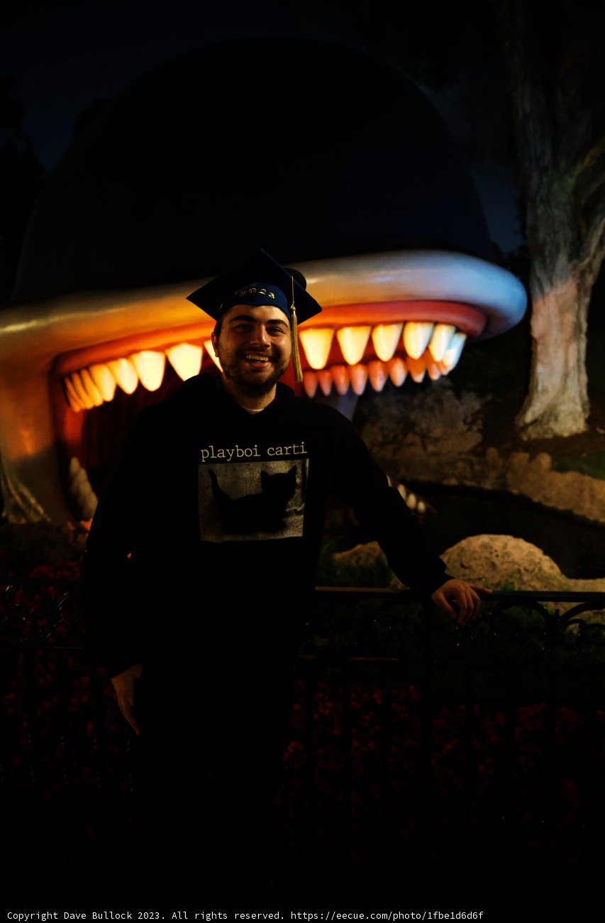 The Enormous Mushroom Encounter