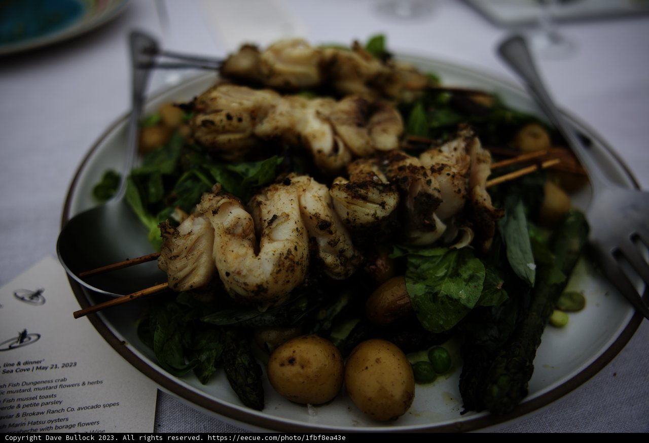 Scrumptious Skewers at Secret Beach Pescadero