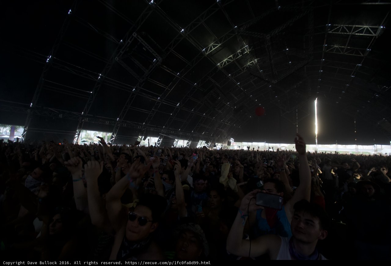Electric Crowd