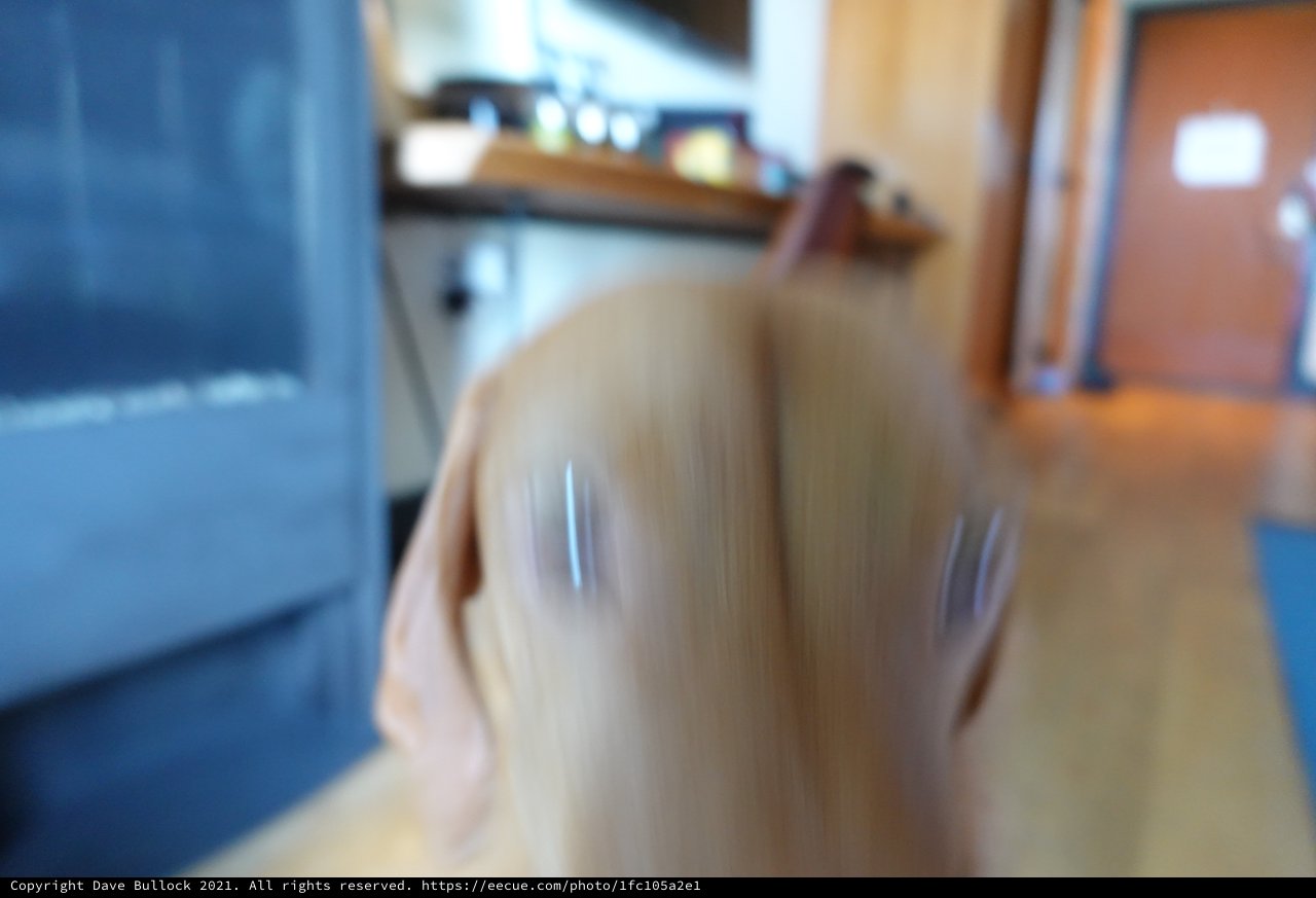Blurred Motion in Modern Kitchen Setting