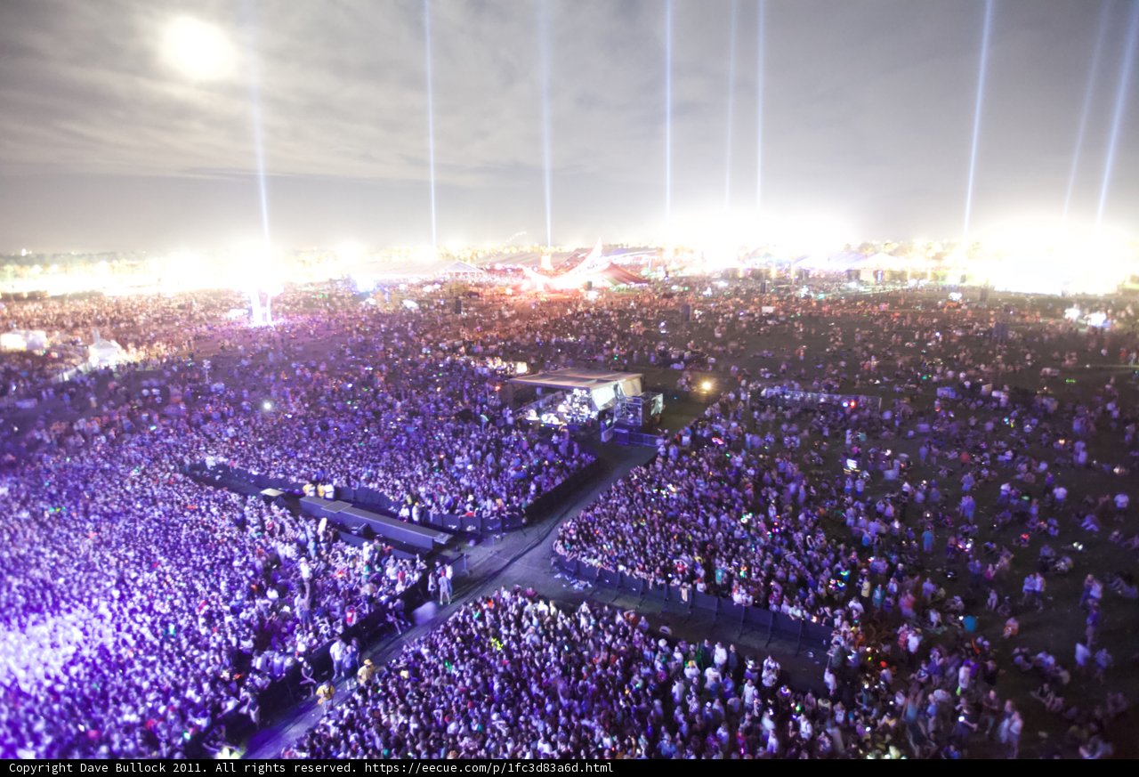 City Lights and Concert Nights