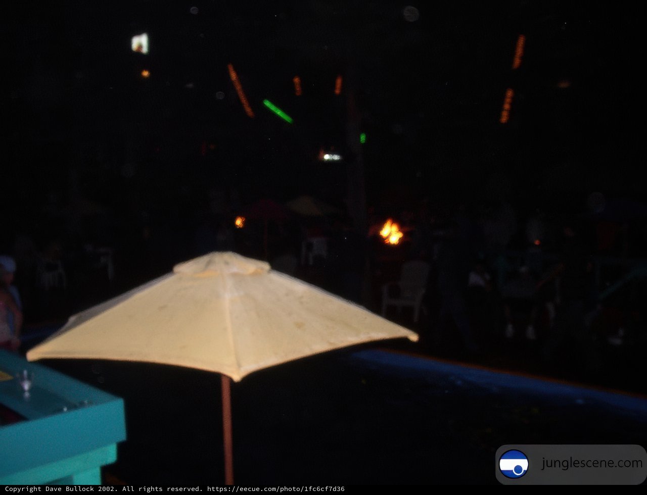 Illuminated Canopy