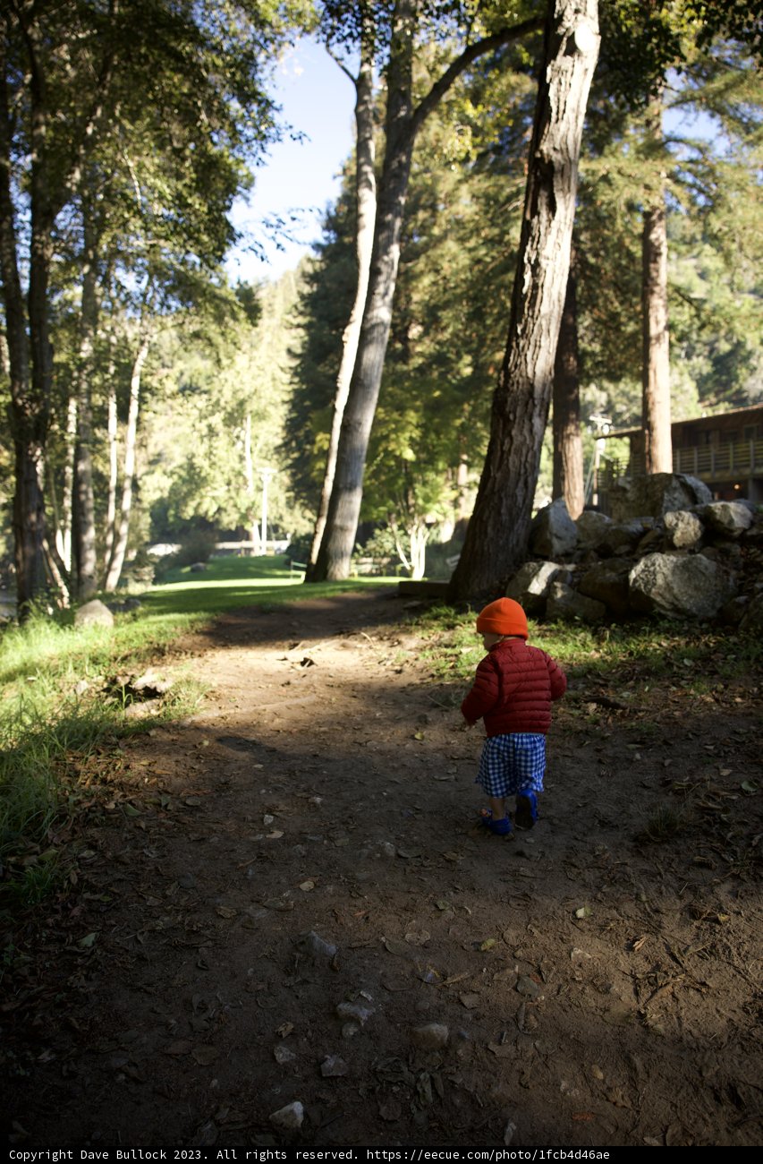 Adventure Awaits: A Young Explorer in Big Sur