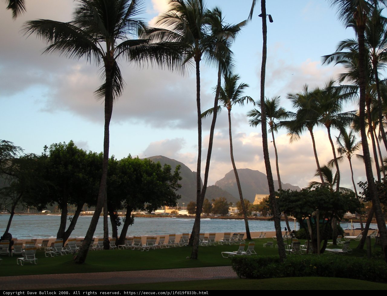 Tropical Oasis