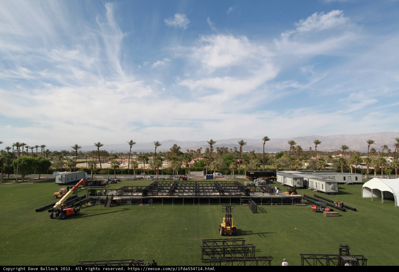 Center Stage in the Grassy Field