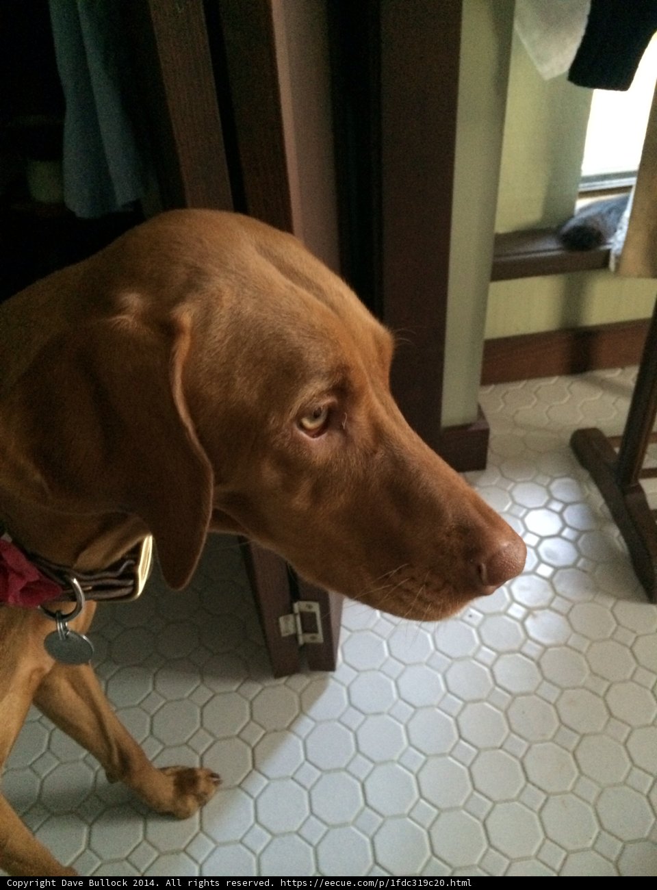 The Bathroom Buddy