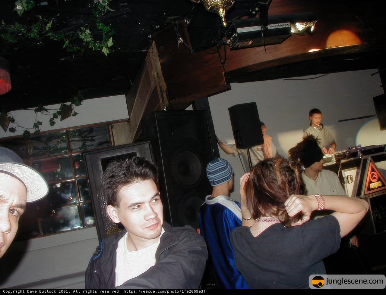 Night Club Vibes