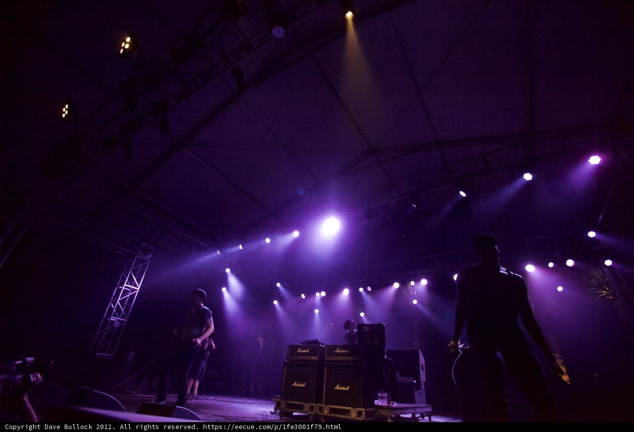 The Electric Performance