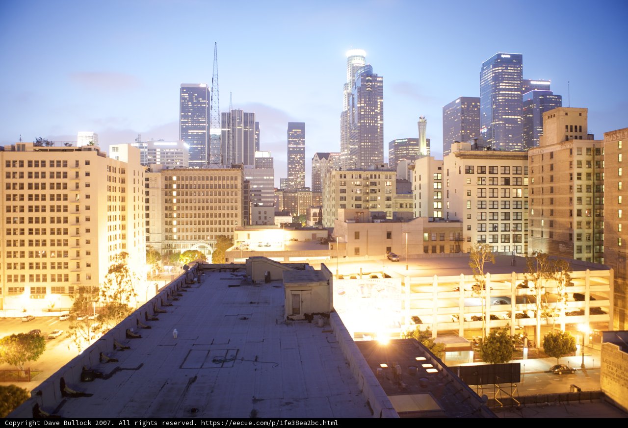 Dusk over the Urban Jungle
