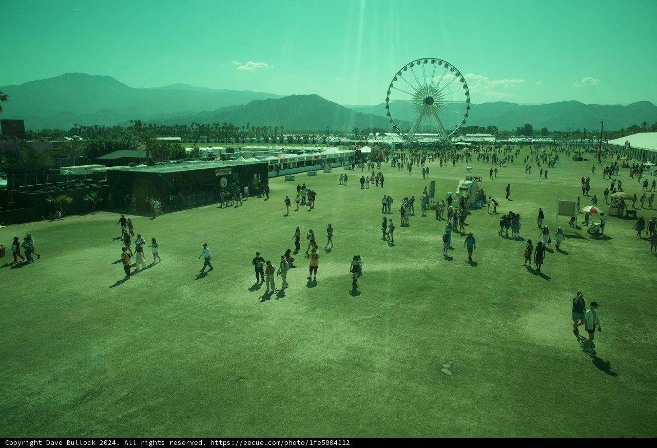 Sunny Revelry: Coachella 2024