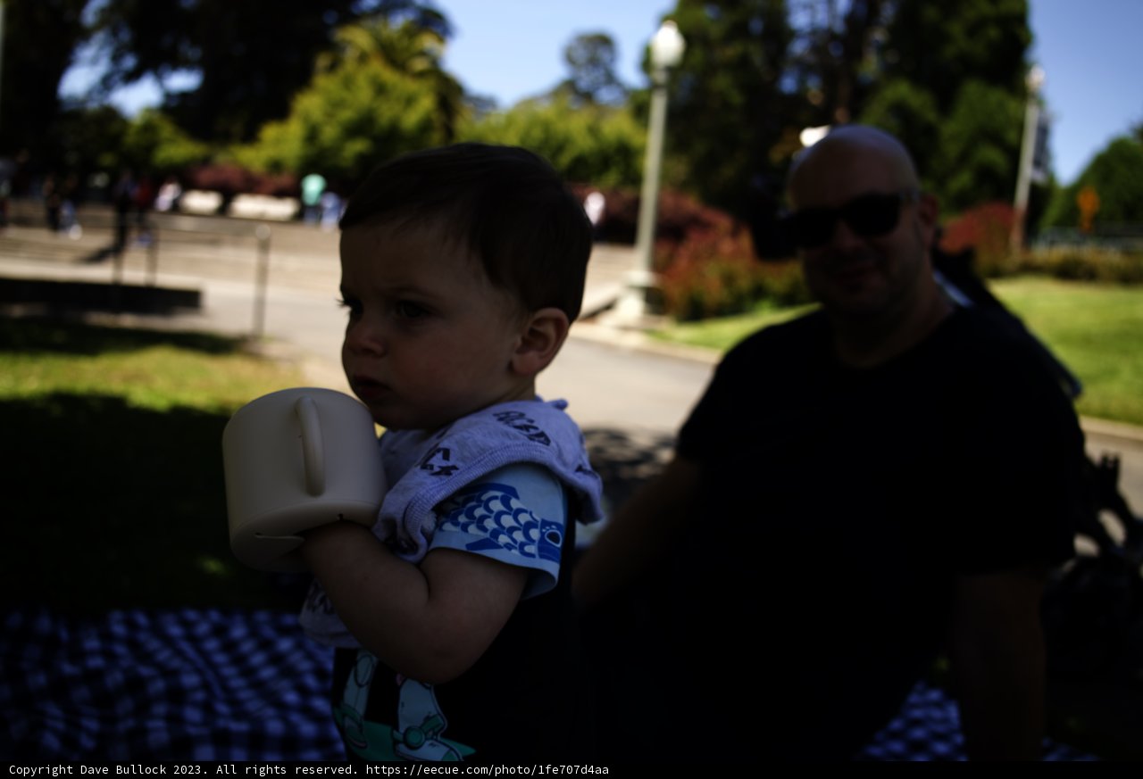 A Sunny Day in the Park, 2023