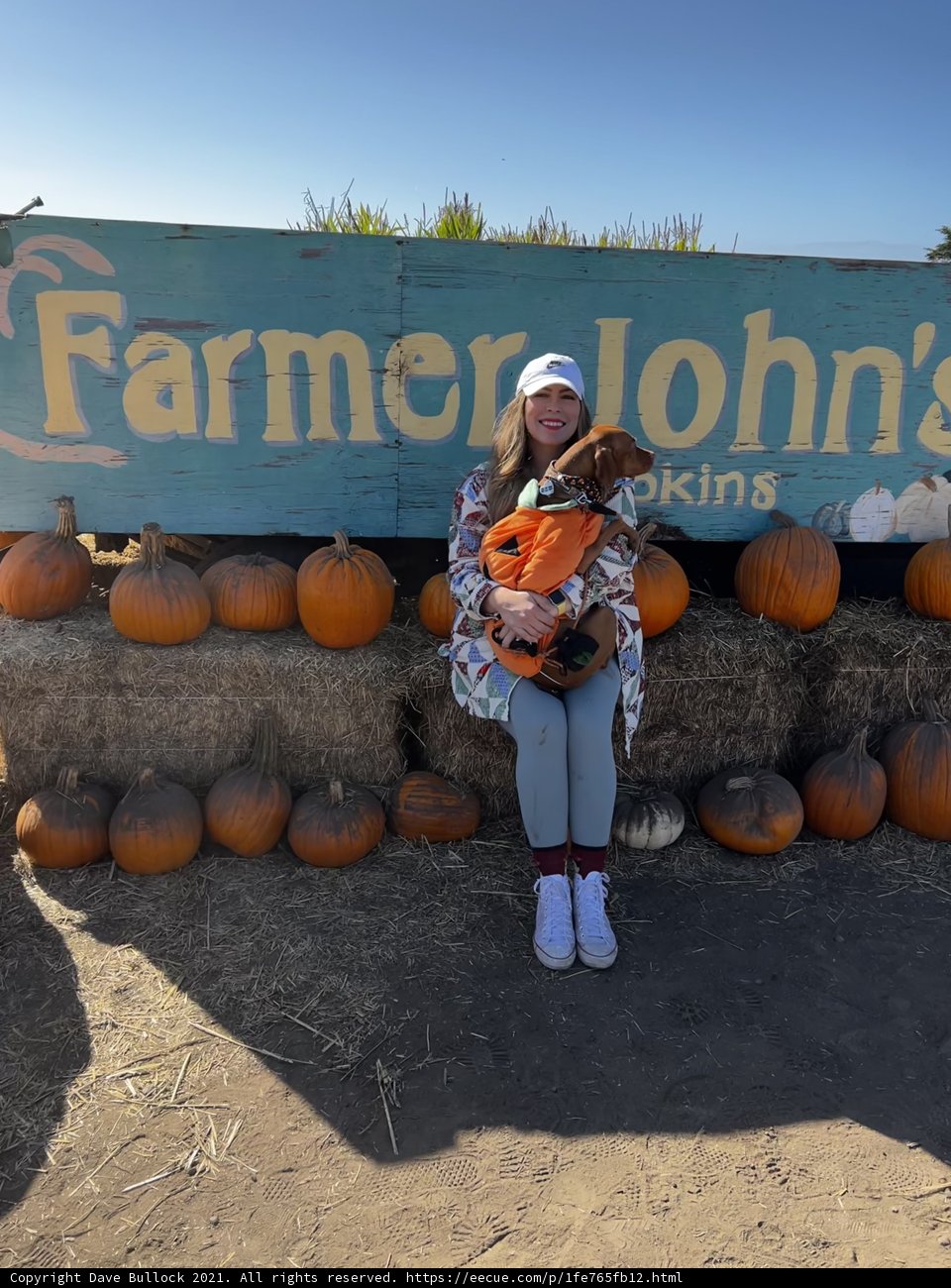Serene Autumn Day at Farmer John's