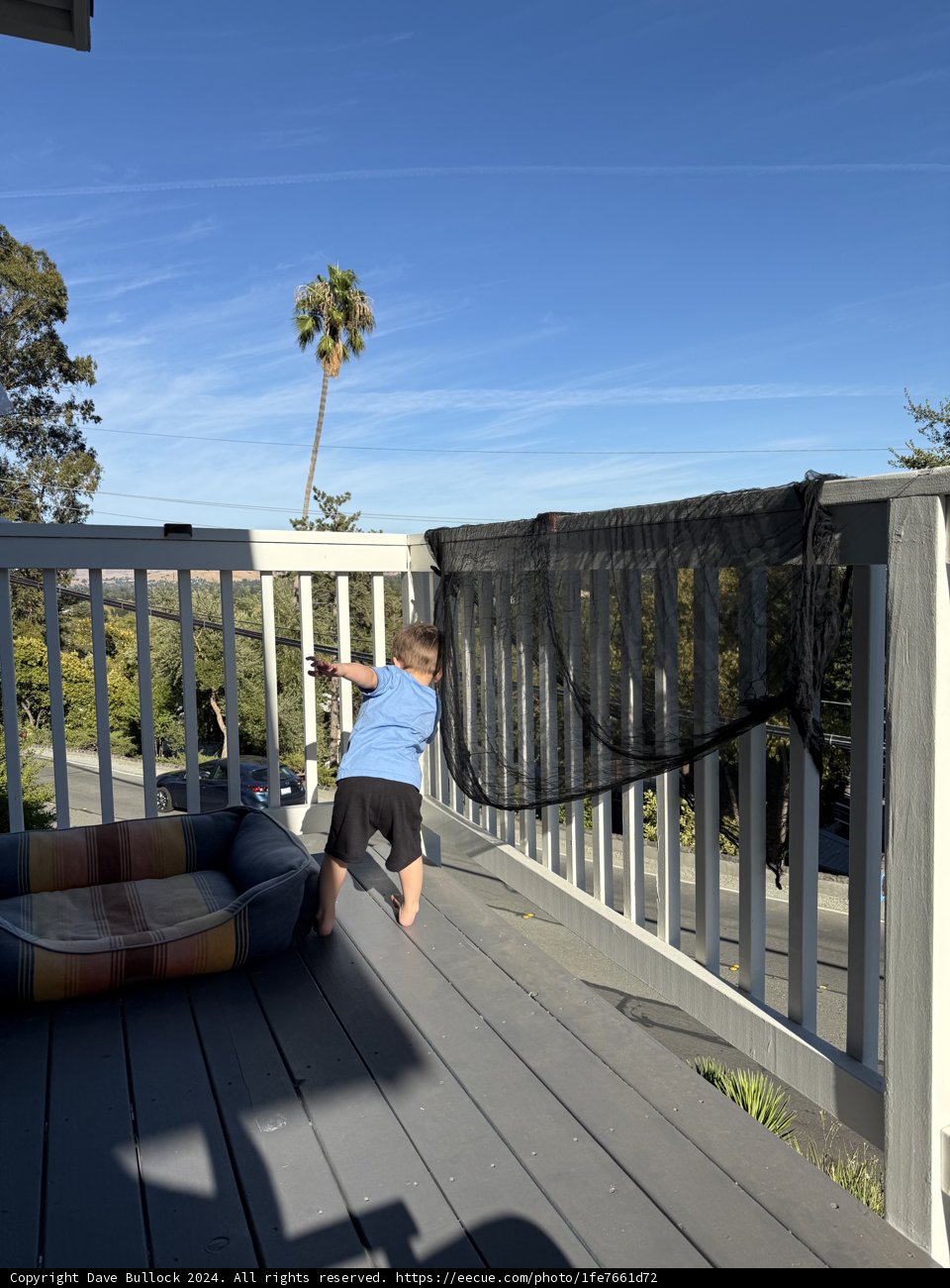 Summer Adventures on the Deck