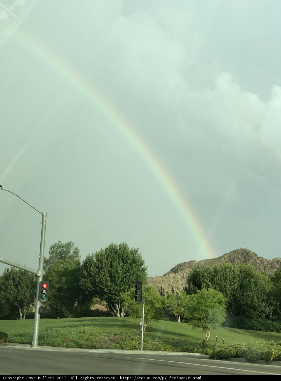 A Gleaming Rainbow in the Sky