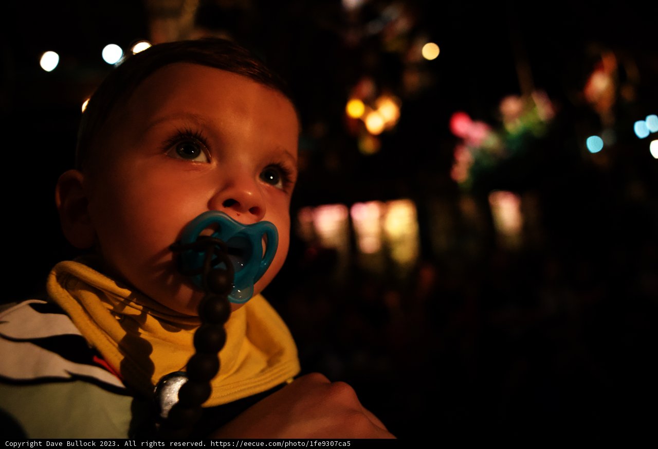 Baby Wesley's Disneyland Adventure