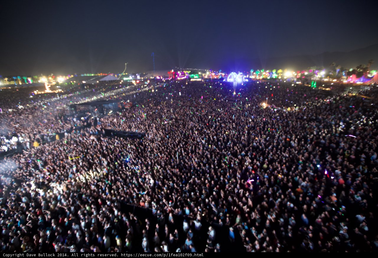 A Sea of Music Lovers