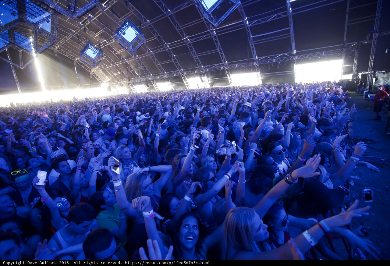 Hands Up at Coachella 2016