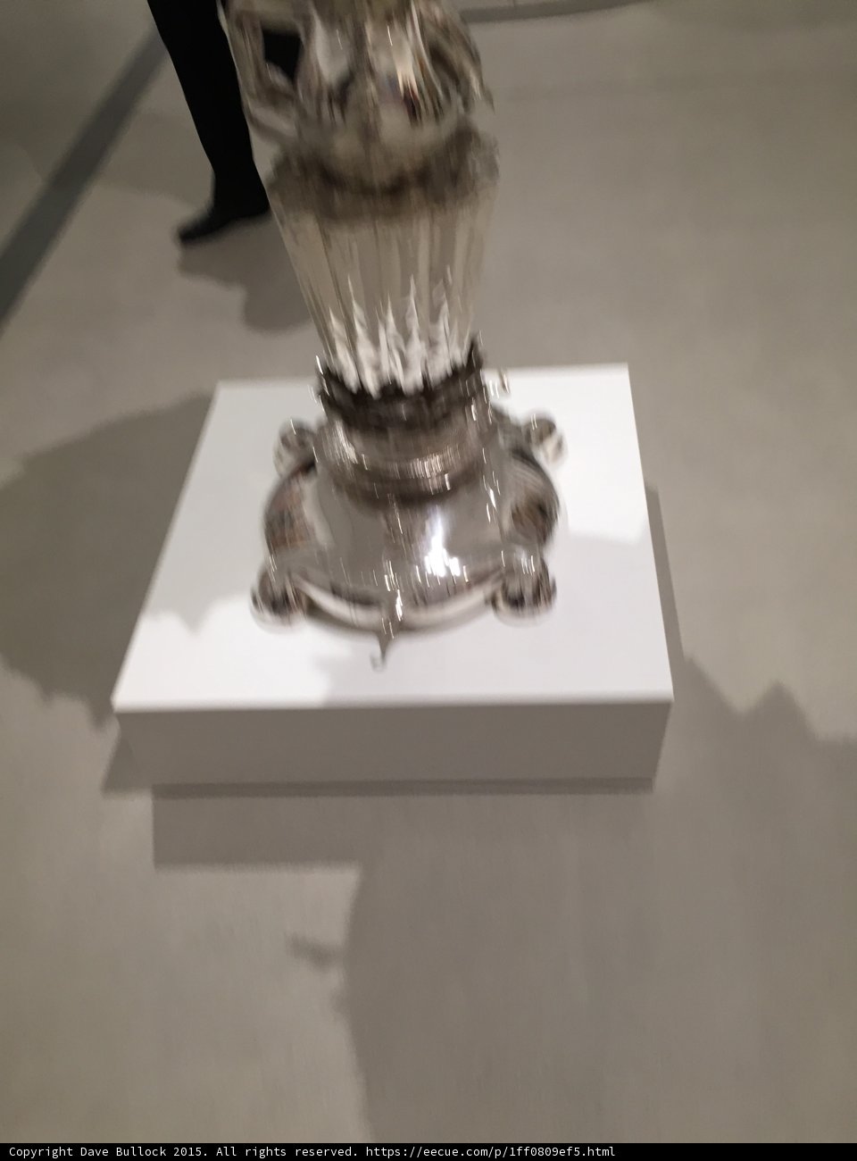 The Majesty of Silver Vase